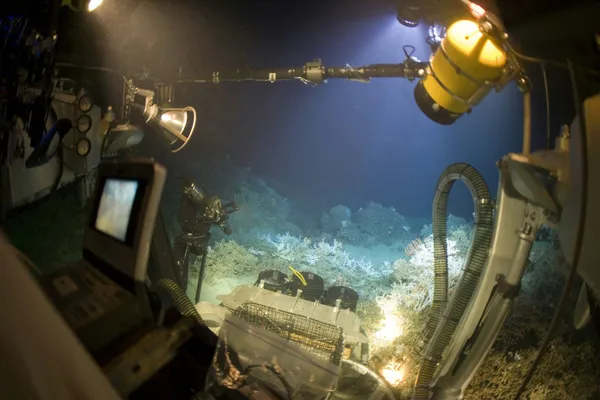 View from inside a deep-sea submersible as lights and equipment illuminate coral on the ocean floor.