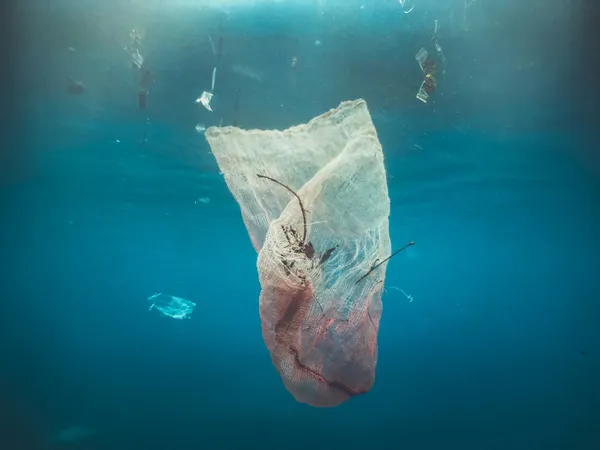 Discarded plastic mesh bag and other debris floating underwater in the ocean.