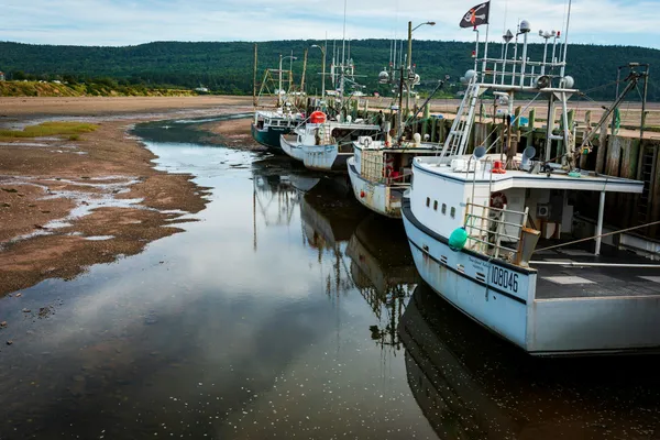 Fishing boats moored along a tidal harbour at low tide, with a forested shoreline in the distance.