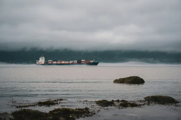 Container ship travelling through misty coastal waters, viewed from a rocky shoreline.