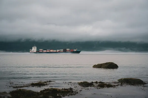 Container ship travelling through misty coastal waters, viewed from a rocky shoreline.