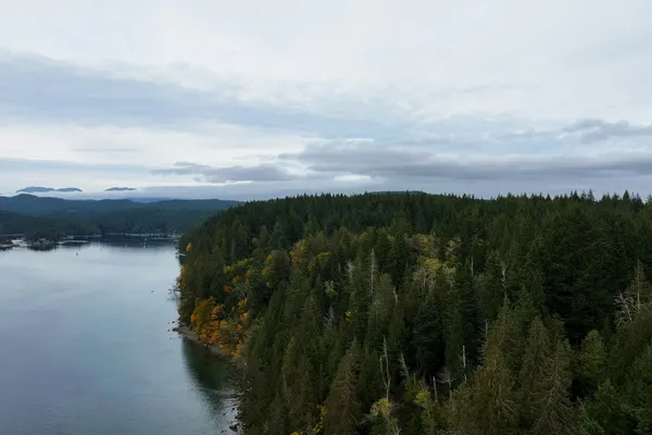 Aerial view of a densely forested coastal peninsula beside calm inlet waters under an overcast sky.