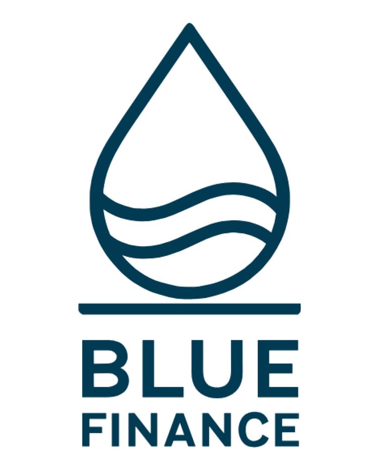 The Story Behind the Blue Finance Mark