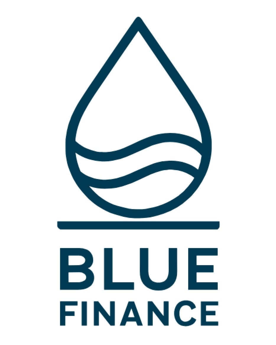 The Story Behind the Blue Finance Mark